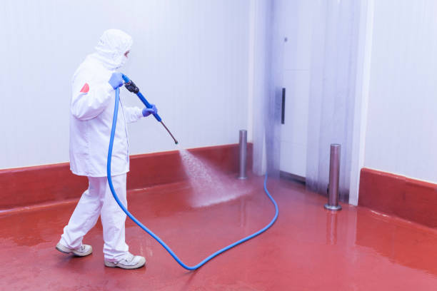 Best House Exterior Washing  in Sweetwater, FL